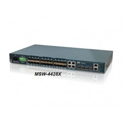 10/1G Carrier Ethernet Switching